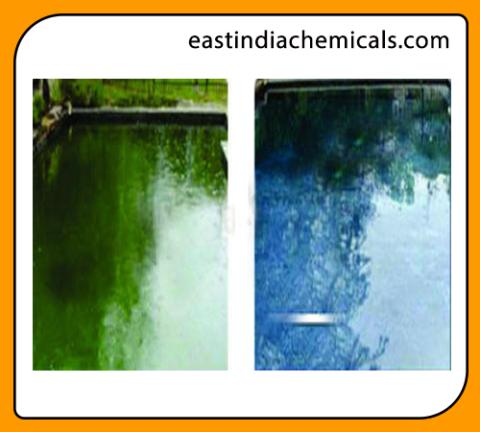 Algaecide Clarifier