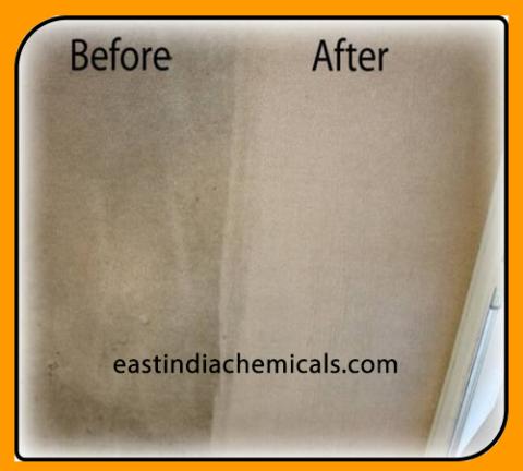 Carpet Cleaner Bio
