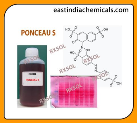 PONCEAU S