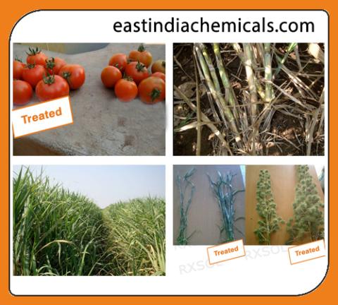 AGRISOL B 15